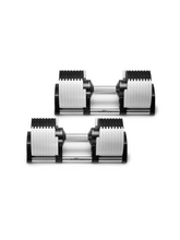 Load image into Gallery viewer, NÜOBELL 80LB Ash